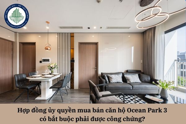 okevipp.com