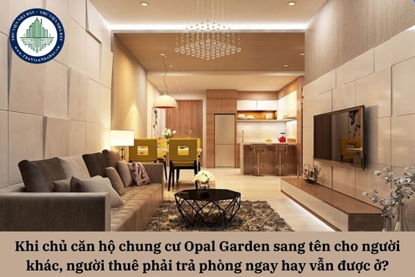 okevipp.com