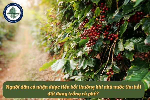 okevipp.com