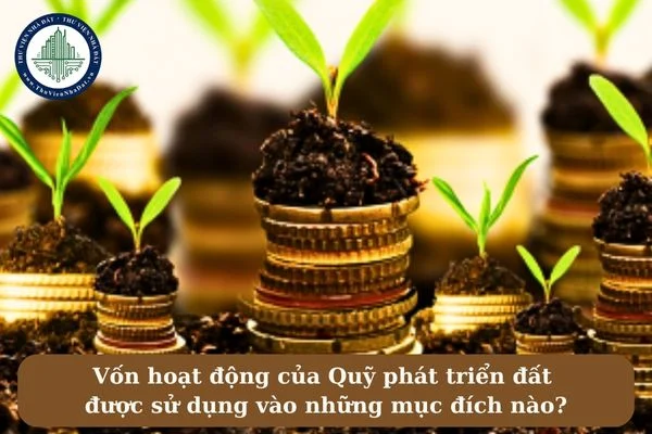 okevipp.com