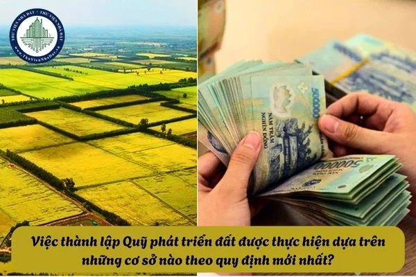 okevipp.com