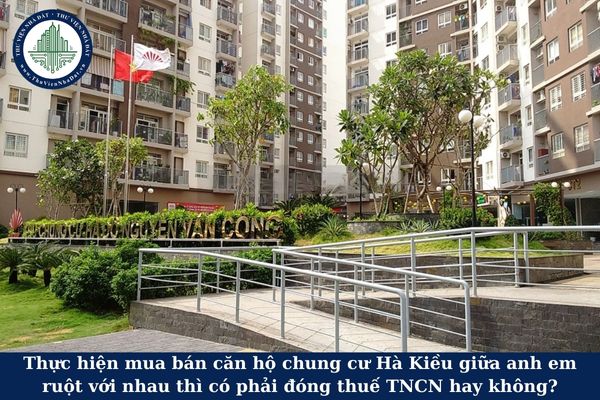 okevipp.com