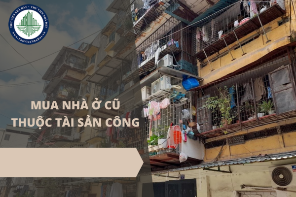 okevipp.com