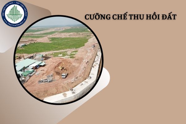 okevipp.com