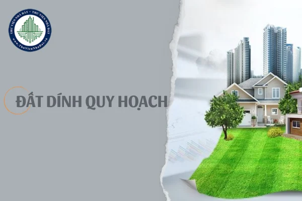 okevipp.com