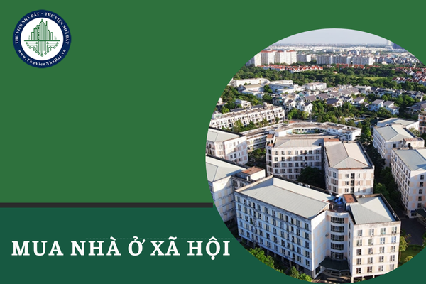 okevipp.com