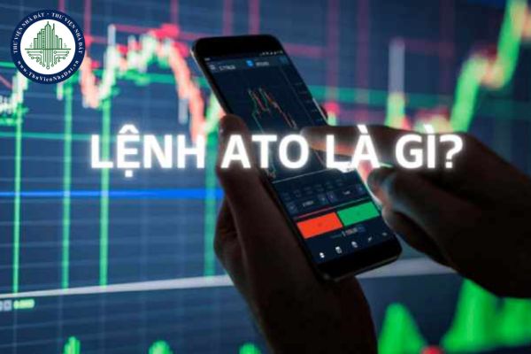 okevipp.com