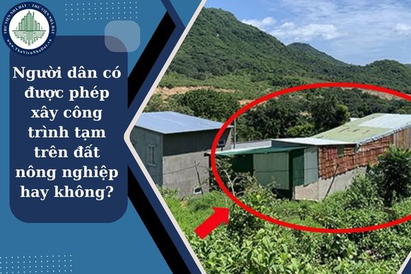 okevipp.com
