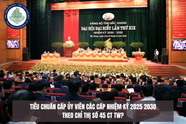 okevipp.com