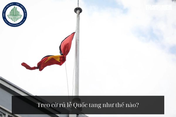 okevipp.com