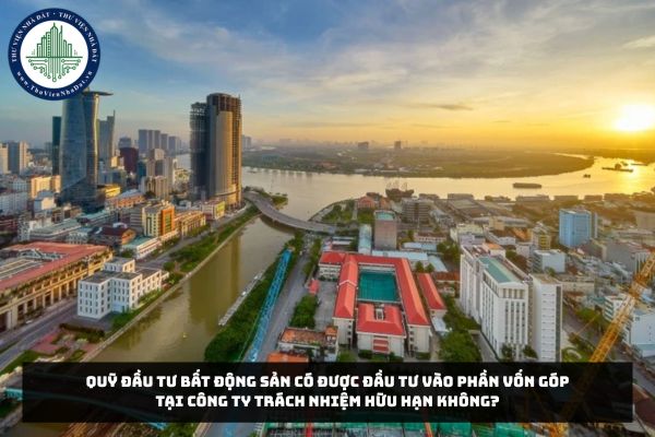 okevipp.com