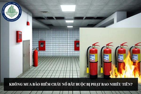 okevipp.com