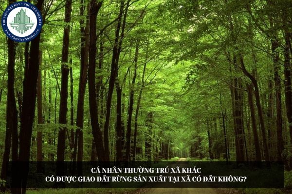 okevipp.com