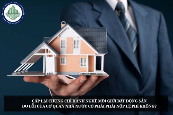 okevipp.com