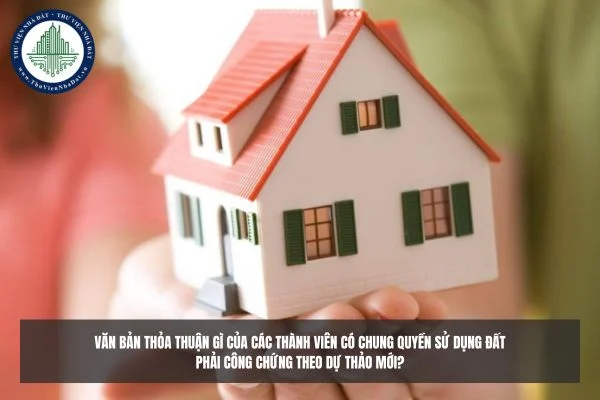 okevipp.com