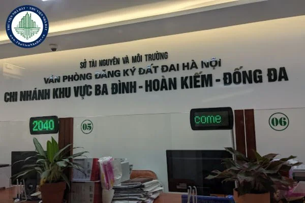 okevipp.com