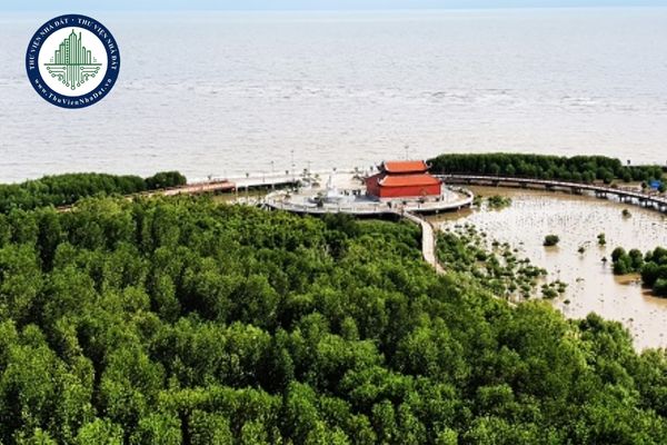 okevipp.com