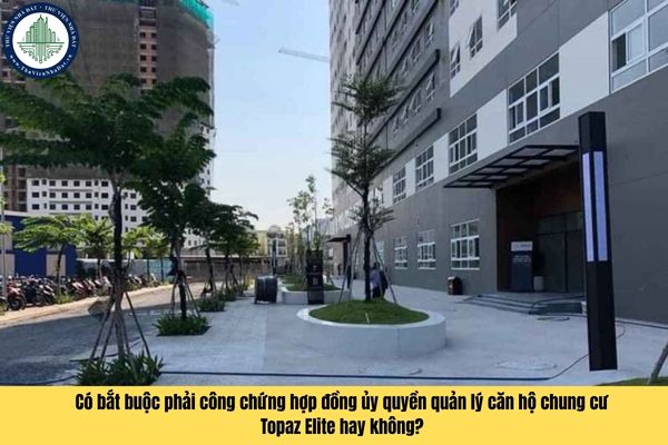 okevipp.com