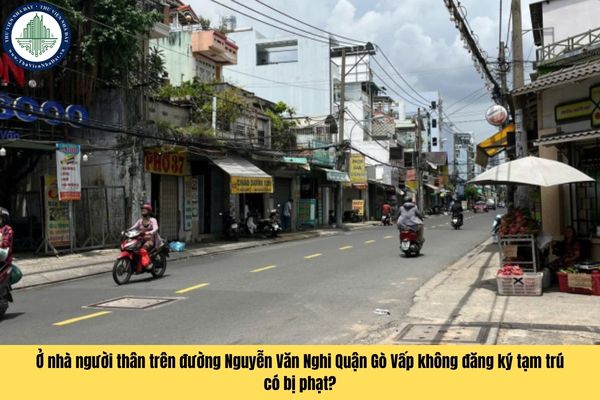 okevipp.com