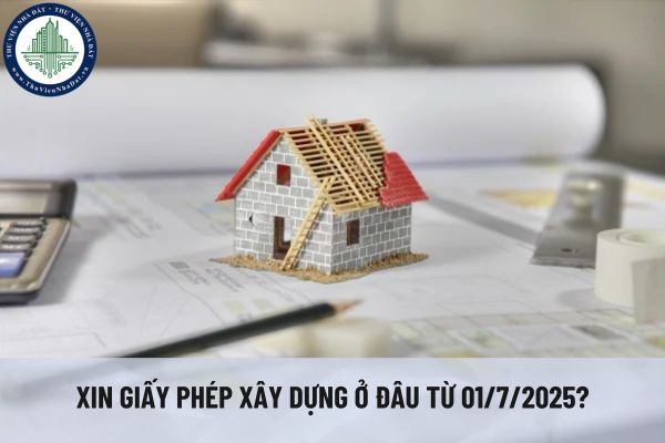okevipp.com