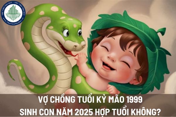 okevipp.com