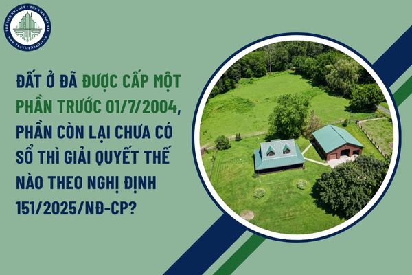 okevipp.com