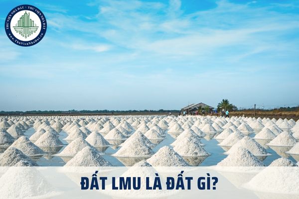 okevipp.com