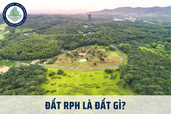okevipp.com