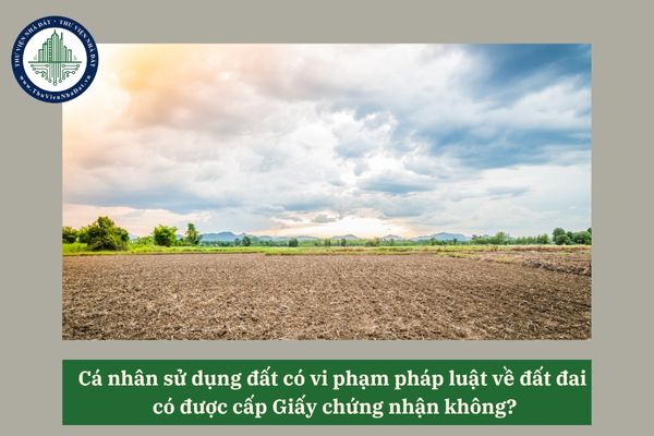 okevipp.com