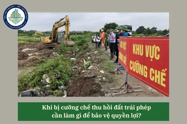 okevipp.com