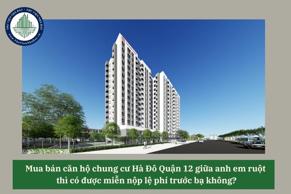 okevipp.com