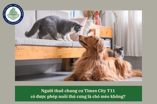 okevipp.com