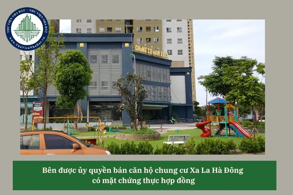 okevipp.com