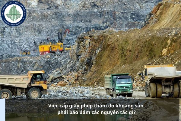 okevipp.com