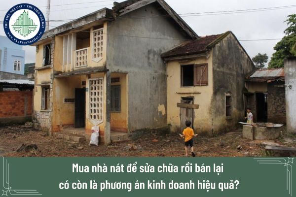 okevipp.com