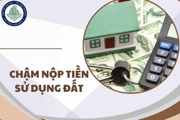 okevipp.com