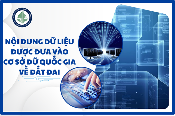 okevipp.com