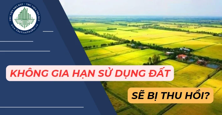 okevipp.com
