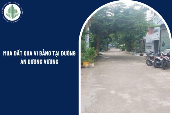 okevipp.com