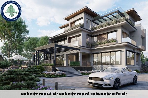 okevipp.com