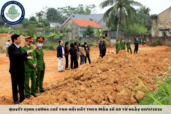 okevipp.com