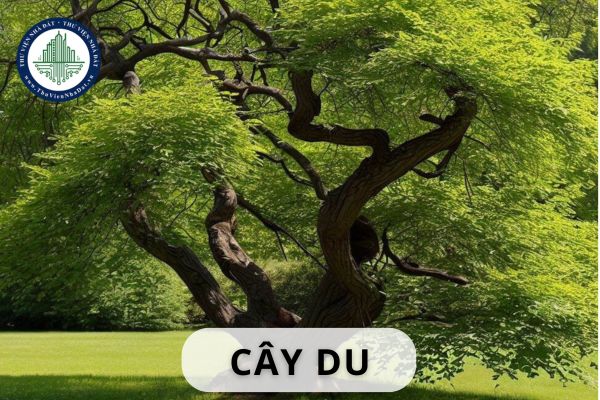okevipp.com