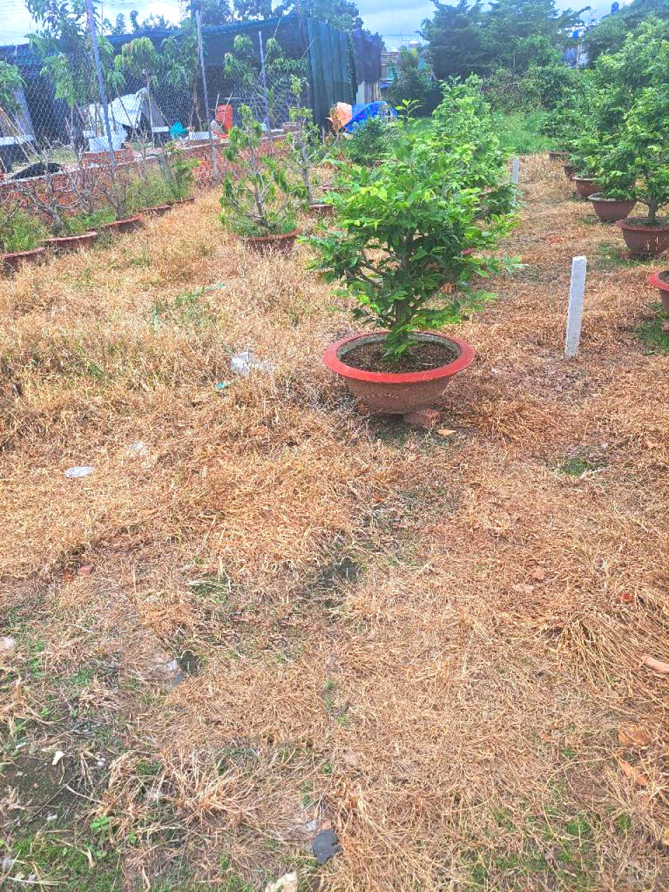 Bán đất 100m² sát MT Thống Nhất, Dĩ An, Bình Dương, giá 3,7 tỷ