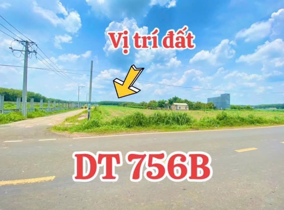 okevipp.com