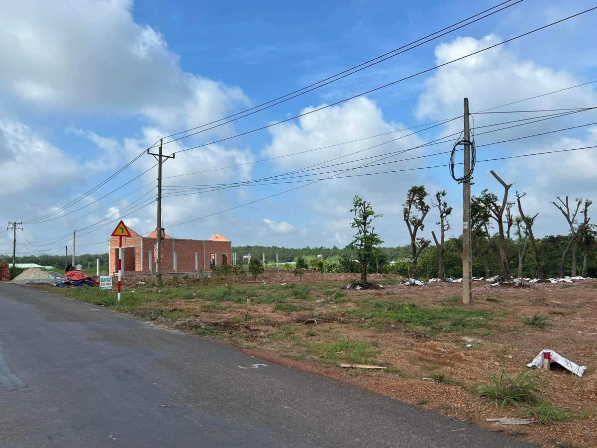 Bán 1.054m2 đất giá 230tr, sổ riêng, đường 18m ngay trung tâm thị xã